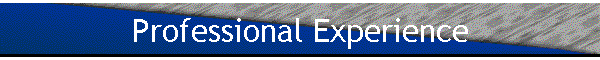 Professional Experience