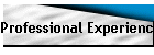Professional Experience