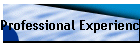 Professional Experience